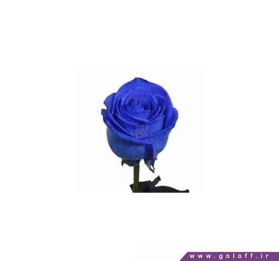 جعبه گل رز - گل رز آبی – Rose  | گل آف